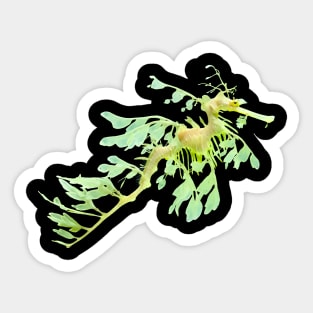 Seadragon Seahorse Green Sticker